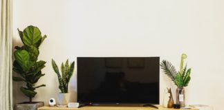 telewizor 55 cali