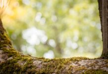 Czy raty wpływają na zdolność kredytową? Czy raty wpływają na zdolność kredytową?