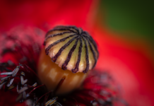 Czy 32 GB pamięci to dużo?